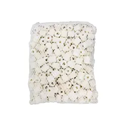 سرامیک آکوایوم مدل RING وزن 500 گرم