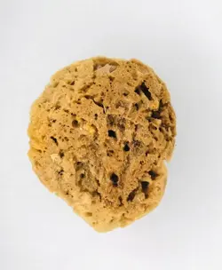 اسفنج دریایی طبیعی کد TM-HM