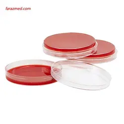 این ژن محیط پلیتی آماده Blood Agar 10cm - تجهیزات آزمایشگاهی پکو