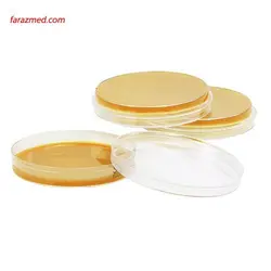این ژن محیط پلیتی آماده Mueller Hintone Agar 6cm - تجهیزات آزمایشگاهی پکو