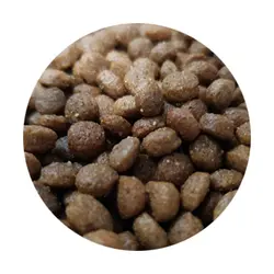 غذای خشک گربه بالغ فله وودو 1 کیلویی