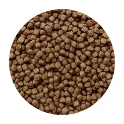 غذای خشک بچه گربه فله فیدار 1 کیلویی