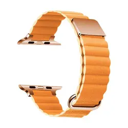 بند چرمی اپل واچ مدل Leather Loop