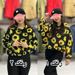 کراپ تدی آفتاب گردان (۱۷۰۰)