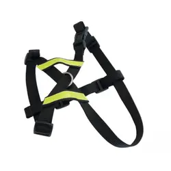 قلاده تنی و کمربند داخل خودرو ام پتس سایز L مدل Secura Safety Car Harness