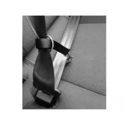 قلاده تنی و کمربند داخل خودرو ام پتس سایز M مدل Secura Safety Car Harness