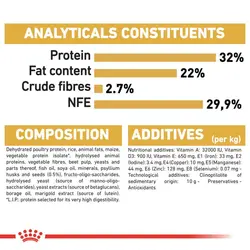 غذای خشک رویال کنین مخصوص بچه گربه پرشین وزن 2 کیلوگرم
