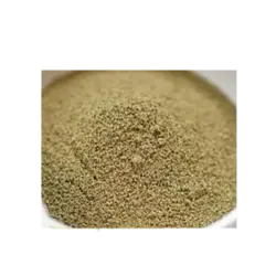 پودرجلبک دریایی(لاغرکننده قوی) (100 گرمی)