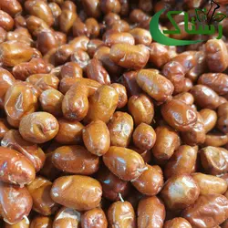 سنجد شیرین تازه گیاهی رستاک (500گرمی)