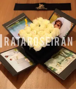 باكس آلبومي رز سفید
