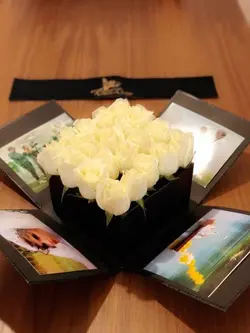 باکس آلبومی| گل رز فیستا هلندی | 20 شاخه