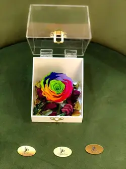 باکس رز جاودان سفید | گل رز رنگین کمانی هلندی | 2 شاخه