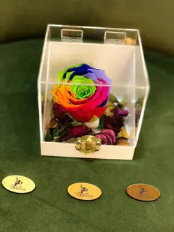 باکس رز جاودان سفید | گل رز رنگین کمانی هلندی | 5 شاخه