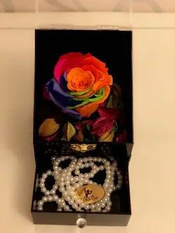 باکس رز جاودان مشکی | گل رز قرمز هلندی | 1 شاخه