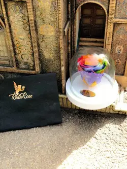 باکس رز جاودان سفید | گل رز قرمز هلندی | 6 شاخه