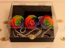 باکس رز جاودان مشکی | گل رز رنگین کمانی هلندی | 5 شاخه