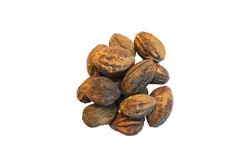 هلیله زرد - کیلویی | رازیان