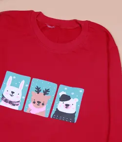 دورس حیوانات