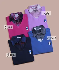 بلوز یقه دار گلدوزی پینگو