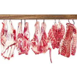 لاشه گوساله ماده درجه یک رویال طعم