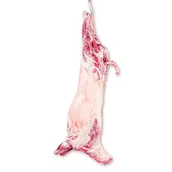 لاشه بدون سر و دنبه گوسفند ماده 18 تا 22 کیلوگرم رویال طعم