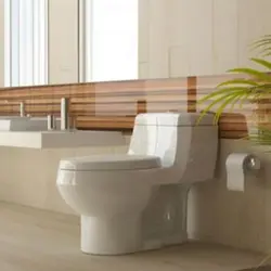 فرنگی مارانتا با پانچ جای شیر بیده سفید ساده درجه دو گلسار - فروشگاه سدید پخش