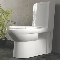 فرنگی یک تکه کلین سفید ساده درجه یک گلسار - فروشگاه سدید پخش