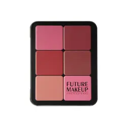 پالت رژ و رژگونه کرمی فیوچر میکاپ