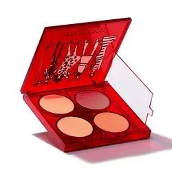 پالت هایلایتر و رژگونه اسمش باکس