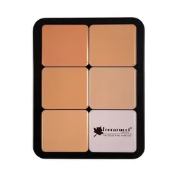 پالت کانتور و کانسیلر فراروسی