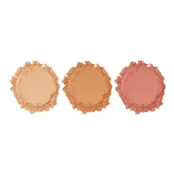 پالت رژگونه کارکتر NTE004