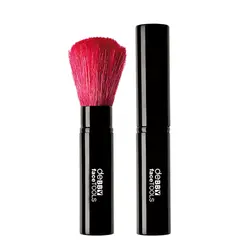 براش رژگونه دبی