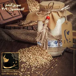 سويق گندم