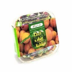 شاینا - حبه عناب زردآلو بسته بندی 150 گرم