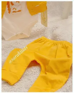 سه تکه دایناسور زرد