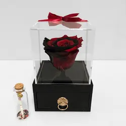 رز جاودان قرمز-مشکی موزیکال