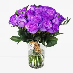 گل رز بنفش 18 شاخه