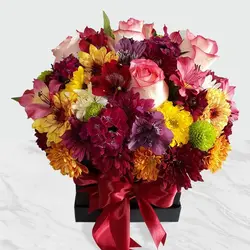 جعبه گل رنگارنگ