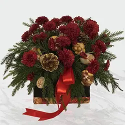 پکیج جشن شب یلدا