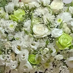 جعبه گل سارگل