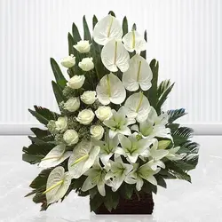 سبد گل یاسین