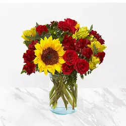 گلدان گل آفتاب