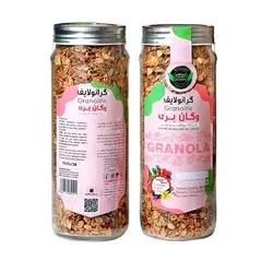 گرانولا بری وگان 380گرمی