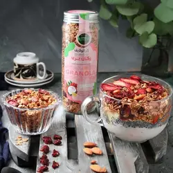 گرانولا بری وگان 380گرمی