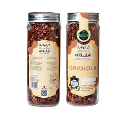 گرانولا شکلاتی وگان 380گرمی