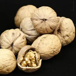 بسته کارتن 3 کیلویی خرما تکعددی قرصی سدنا-مضافتی گردویی