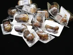 بسته کارتن 5 کیلویی خرما تکعددی قرصی سدنا- خاصویی