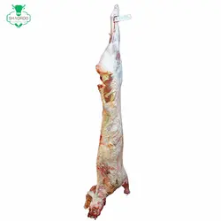 لاشه کامل بدون دنبه - مزرعه گوشت شادرو
