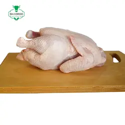 مرغ کامل کشتار روز - مزرعه گوشت شادرو