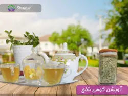 آویشن کوهی بسته 100 گرمی